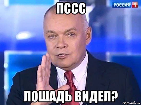 пссс лошадь видел?, Мем Киселёв 2014