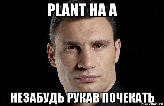 plant на а незабудь рукав почекать, Мем Кличко