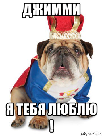 джимми я тебя люблю !, Мем Король Пес