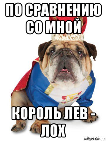 по сравнению со мной король лев - лох, Мем Король Пес