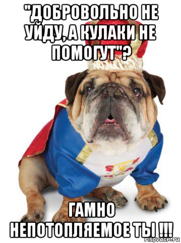 "добровольно не уйду, а кулаки не помогут"? гамно непотопляемое ты !!!