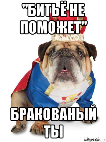 "битьё не поможет" бракованый ты, Мем Король Пес