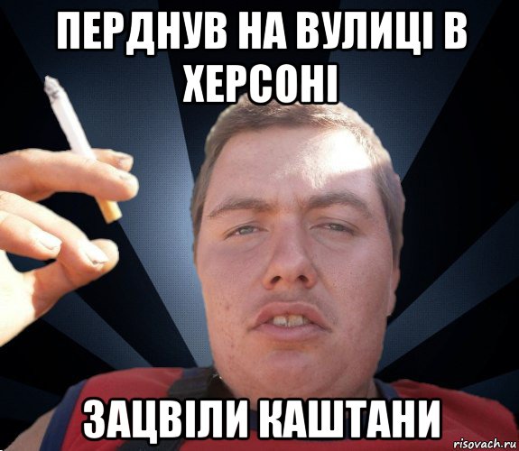 перднув на вулиці в херсоні зацвіли каштани
