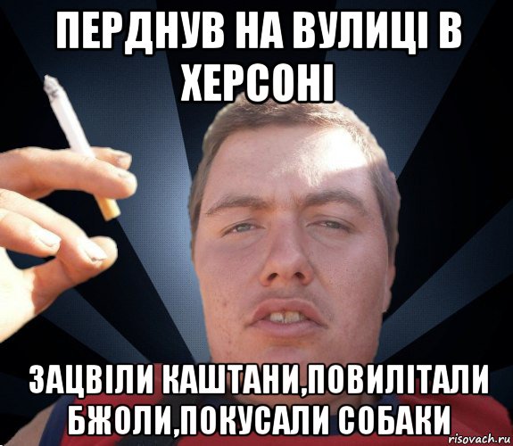 перднув на вулиці в херсоні зацвіли каштани,повилітали бжоли,покусали собаки