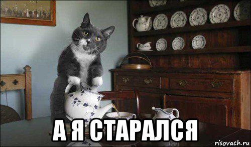  а я старался