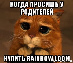 когда просишь у родителей купить rainbow loom, Мем Кот из Шрека