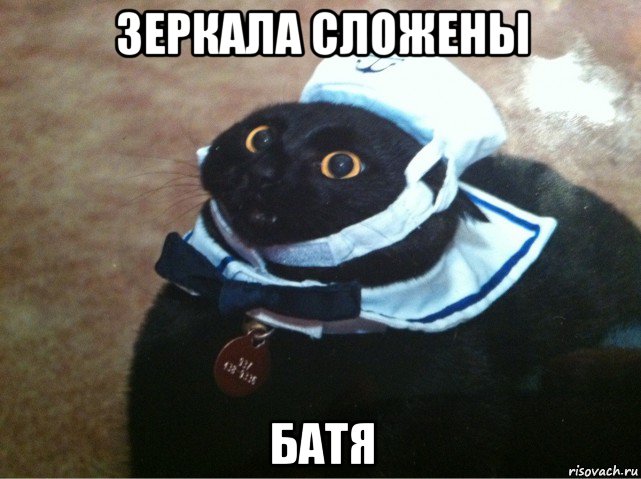 зеркала сложены батя, Мем Кот-матрос