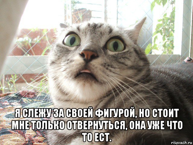  я слежу за своей фигурой, но стоит мне только отвернуться, она уже что то ест.