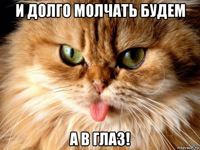 и долго молчать будем а в глаз!, Мем Кот с языком