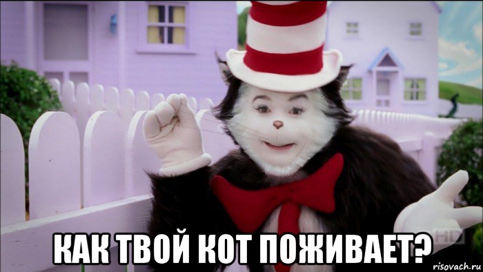  как твой кот поживает?