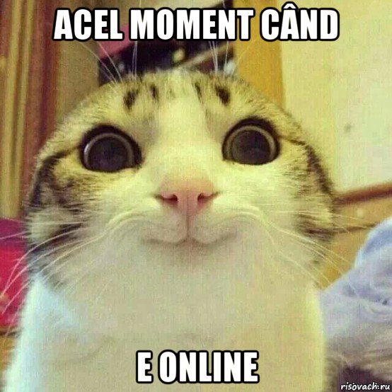 acel moment când e online, Мем       Котяка-улыбака