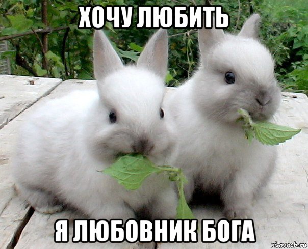 хочу любить я любовник бога