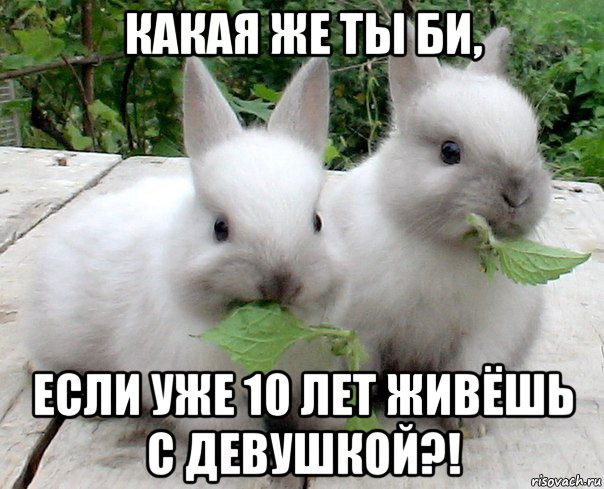 какая же ты би, если уже 10 лет живёшь с девушкой?!