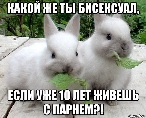 какой же ты бисексуал, если уже 10 лет живешь с парнем?!