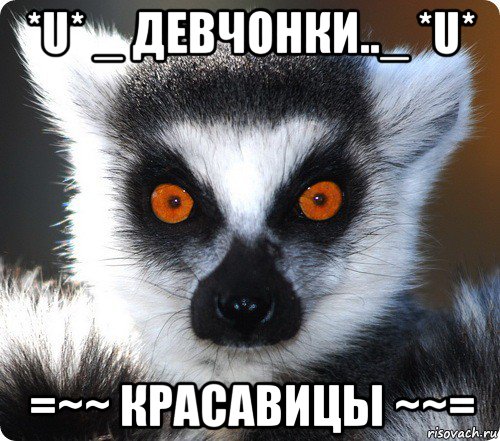 *u* _ девчонки.._ *u* =~~ красавицы ~~=, Мем лемур