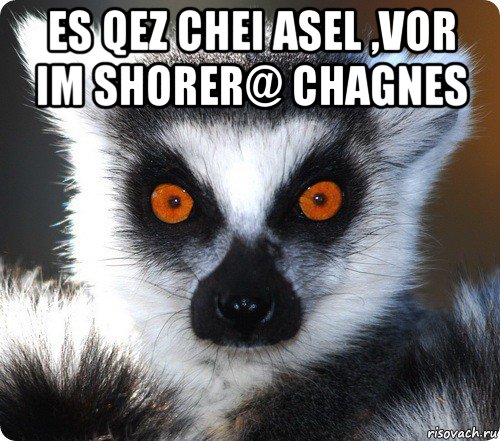 es qez chei asel ,vor im shorer@ chagnes , Мем лемур