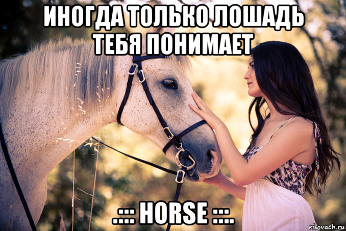 иногда только лошадь тебя понимает .::: horse :::., Мем лошади