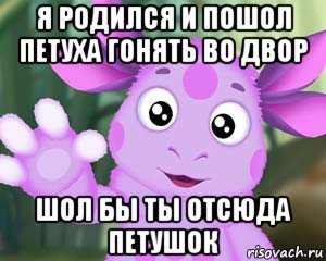 я родился и пошол петуха гонять во двор шол бы ты отсюда петушок, Мем Лунтик