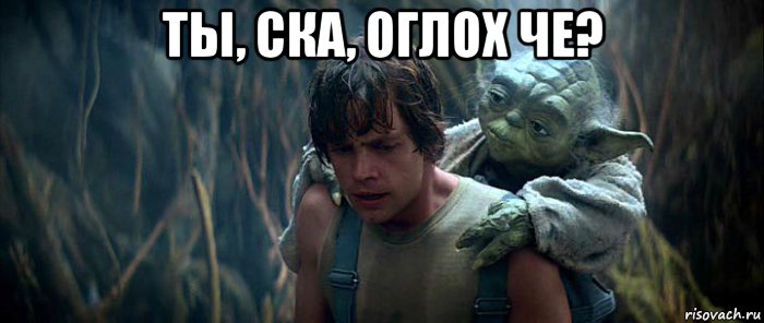 ты, ска, оглох че? 
