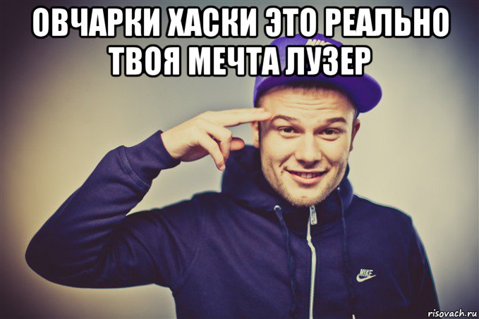 овчарки хаски это реально твоя мечта лузер 