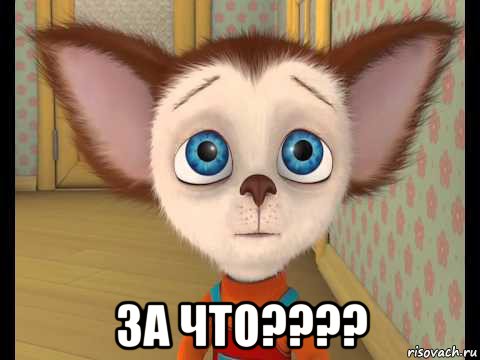  за что????