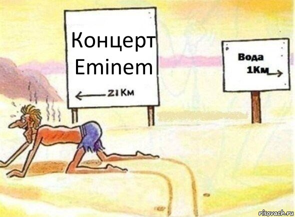 Концерт Eminem