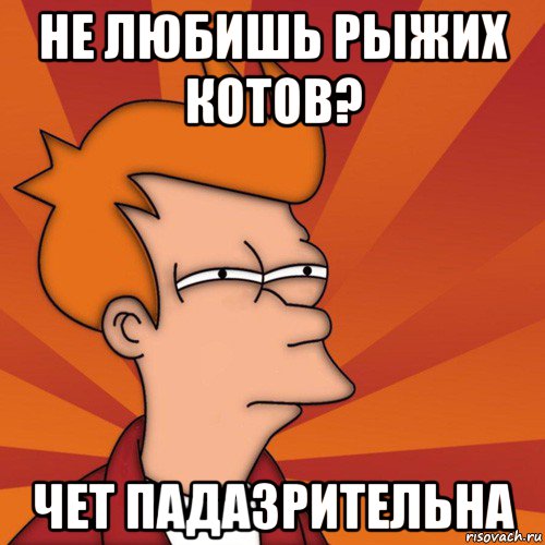 не любишь рыжих котов? чет падазрительна, Мем Мне кажется или (Фрай Футурама)