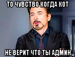 то чувство когда кот не верит что ты админ