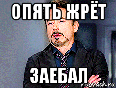 опять жрёт заебал