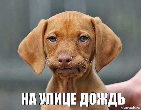  на улице дождь, Комикс Моё лицо