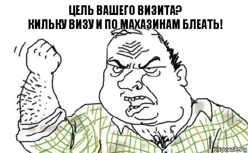 Цель вашего визита?
кильку визу и по махазинам блеать!, Комикс Мужик блеать