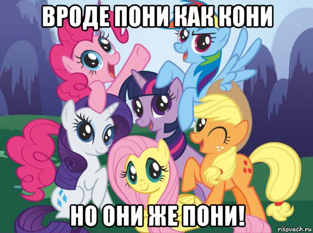 вроде пони как кони но они же пони!, Мем My little pony