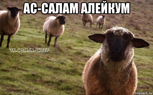 ас-салам алейкум 