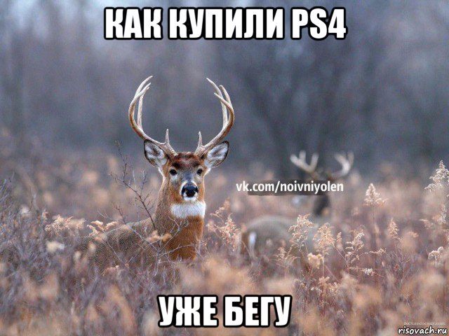 как купили ps4 уже бегу