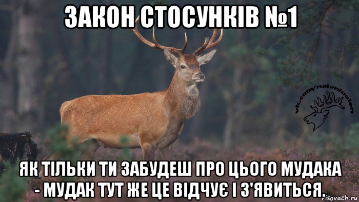 закон стосунків №1 як тільки ти забудеш про цього мудака - мудак тут же це відчує і з'явиться.