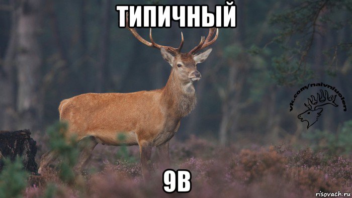 типичный 9в