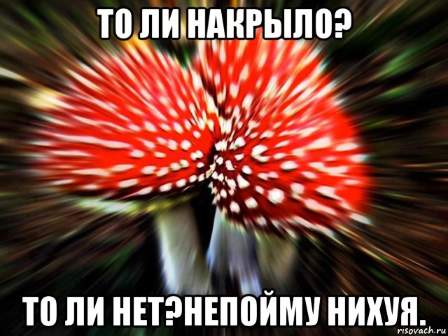 то ли накрыло? то ли нет?непойму нихуя., Мем наркоман штоле
