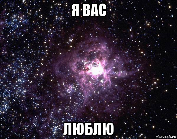 я вас люблю