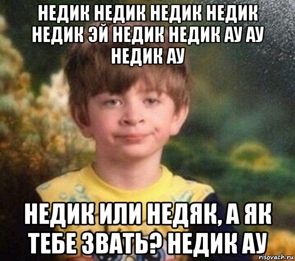 недик недик недик недик недик эй недик недик ау ау недик ау недик или недяк, а як тебе звать? недик ау, Мем Недовольный пацан