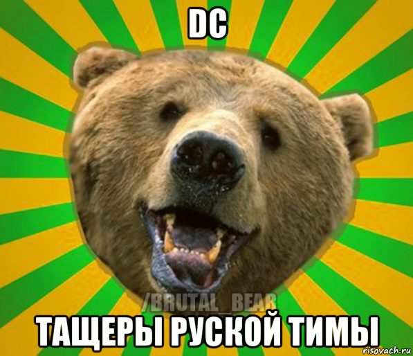 dc тащеры руской тимы, Мем Нелепый медведь