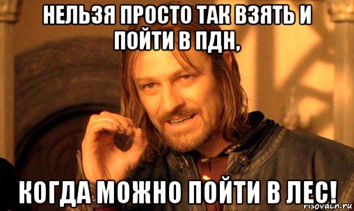 нельзя просто так взять и пойти в пдн, когда можно пойти в лес!, Мем Нельзя просто так взять и (Боромир мем)