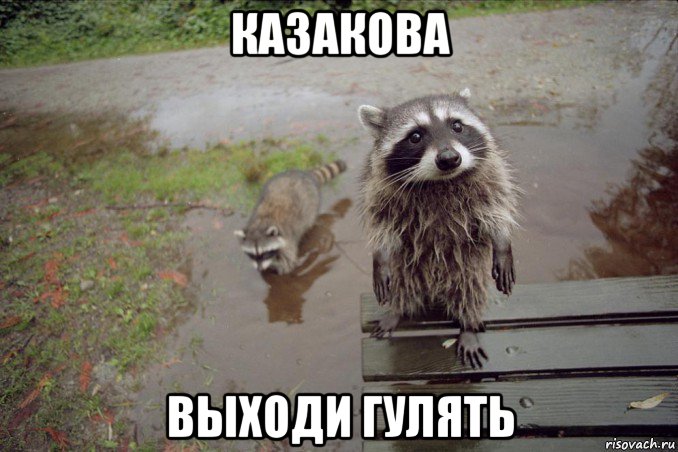 казакова выходи гулять