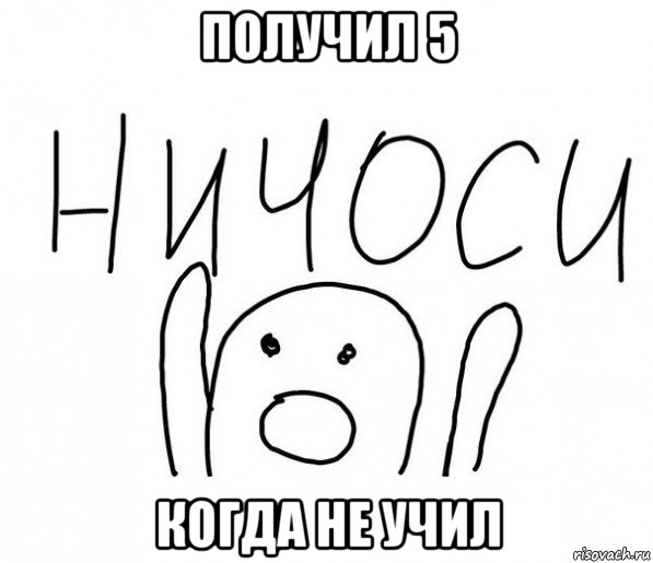 получил 5 когда не учил, Мем  Ничоси