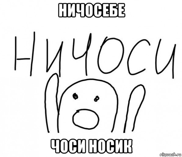 ничосебе чоси носик