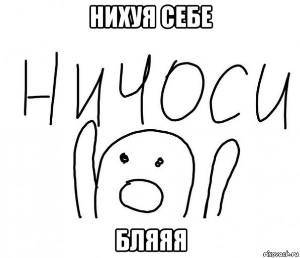 нихуя себе бляяя, Мем  Ничоси