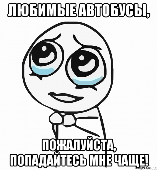 любимые автобусы, пожалуйста, попадайтесь мне чаще!, Мем  ну пожалуйста (please)