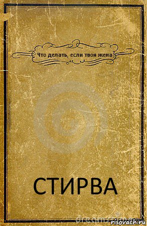 Что делать, если твоя жена СТИРВА, Комикс обложка книги