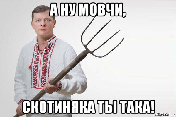 а ну мовчи, скотиняка ты така!, Мем Олег Ляшко  вила