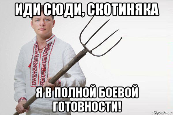 иди сюди, скотиняка я в полной боевой готовности!, Мем Олег Ляшко  вила
