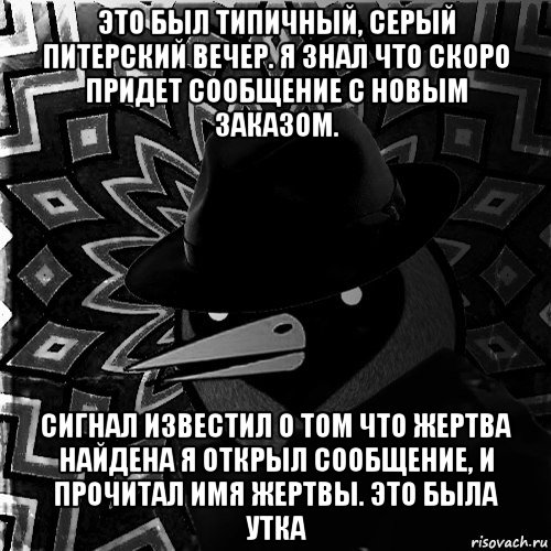 это был типичный, серый питерский вечер. я знал что скоро придет сообщение с новым заказом. сигнал известил о том что жертва найдена я открыл сообщение, и прочитал имя жертвы. это была утка